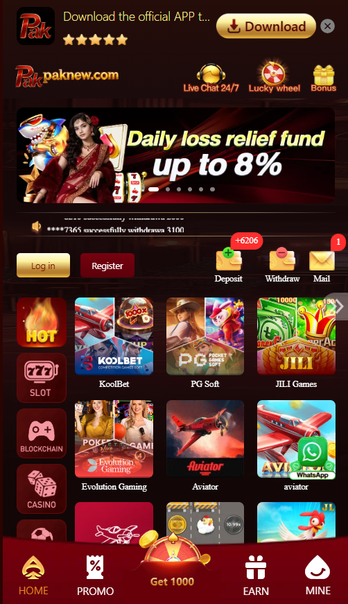 paknew game interface