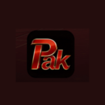 paknew game logo